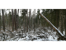 IMG 20200108 120919.jpg