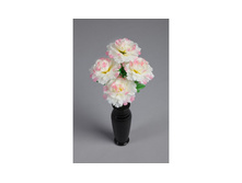 ����� ���������� �������� ������������ �23/61 � �������� 5 ��