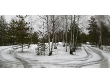 IMG 20200119 123327.jpg