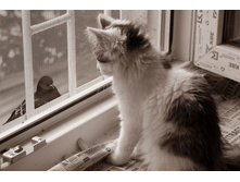 244590443-bus 033.jpg