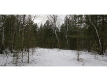 IMG 20200118 112603.jpg