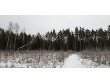 IMG 20200106 152334.jpg