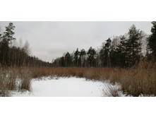 IMG 20200103 124512.jpg