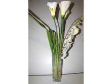 ����� � �����-5.JPG