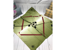265� 100 �� 100 �� ���� 10.jpg