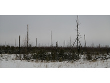 IMG 20200111 112307.jpg