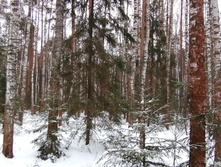 IMG 20200106 124146.jpg