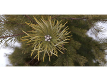 IMG 20200118 121626.jpg