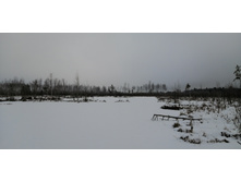 IMG 20200111 113045.jpg