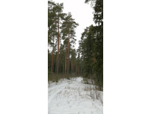 IMG 20200106 120508.jpg