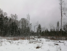 IMG 20200112 130846.jpg