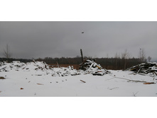 IMG 20200103 110213.jpg