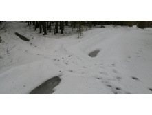 IMG 20200118 142500.jpg