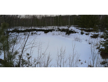 IMG 20200118 114953.jpg