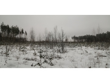 IMG 20200112 111724.jpg