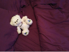 1556629809 - ����� - �����.jpeg