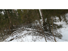 IMG 20200108 115939.jpg