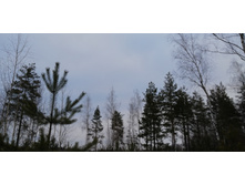 IMG 20200118 114343.jpg