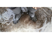 IMG 20200118 131604.jpg