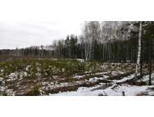 IMG 20200118 115254.jpg