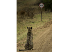 ����������� ��� ...