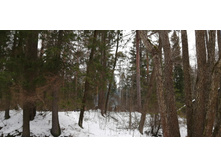 IMG 20200104 132308.jpg