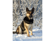 ����, 01.01.2020�