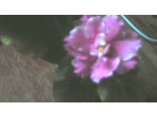 ������ ��-�������