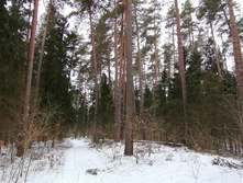 IMG 20200108 101231.jpg