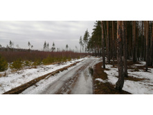 IMG 20200118 124349.jpg