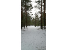 IMG 20200103 130350.jpg