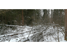 IMG 20200106 143441.jpg