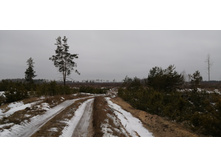 IMG 20200119 122123.jpg