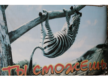 IMG 20200128 092226.jpg