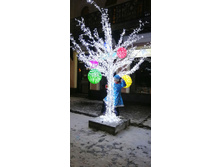 IMG 20200101 004928.jpg