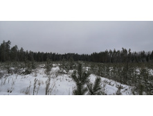 IMG 20200112 105919.jpg