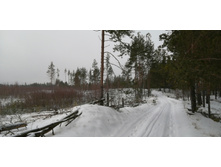 IMG 20200111 110343.jpg