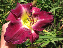 �������� ����� ������