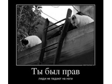 �� ��� ����. ���� �� ������ �� ����.