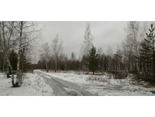 IMG 20200119 125231.jpg