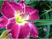 �������� ���� ����