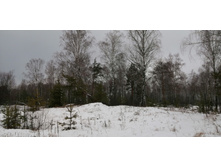 IMG 20200103 112417.jpg