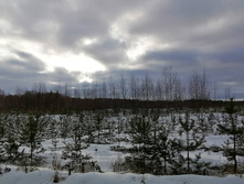 IMG 20200126 111301.jpg