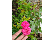 IMG 20190805 162922.jpg