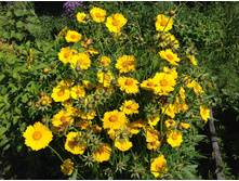 ��������� ���������������