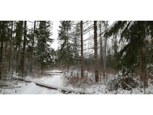 IMG 20200104 123636.jpg