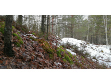 IMG 20200118 140104.jpg