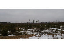 IMG 20200119 122130.jpg