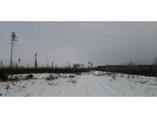 IMG 20200111 112302.jpg