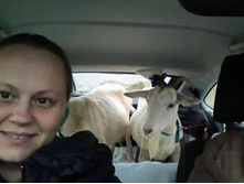 IMG 20190922 154713.jpg